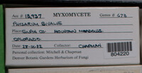 Image Associated With the Occurence
